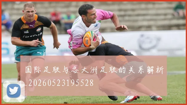 国际足联与各大洲足联的关系解析_20260523195528