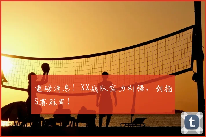 重磅消息！XX战队实力补强，剑指S赛冠军！