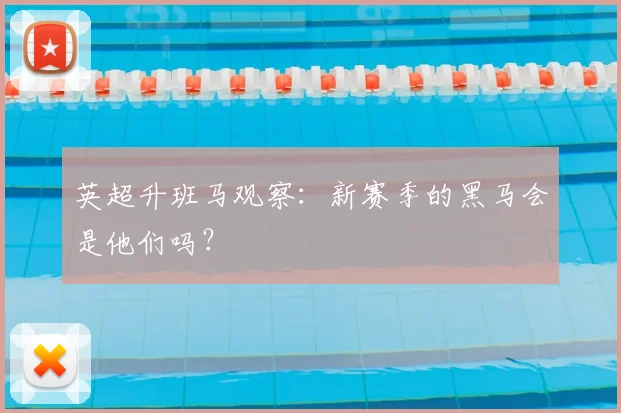 英超升班马观察:新赛季的黑马会是他们吗?